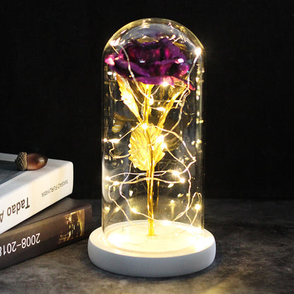 Nivacasa™ - Kunstmatige Galaxy Lamp | Kado voor Valentijnsdag ❤️