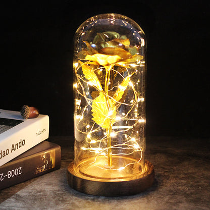 Nivacasa™ - Kunstmatige Galaxy Lamp | Kado voor Valentijnsdag ❤️